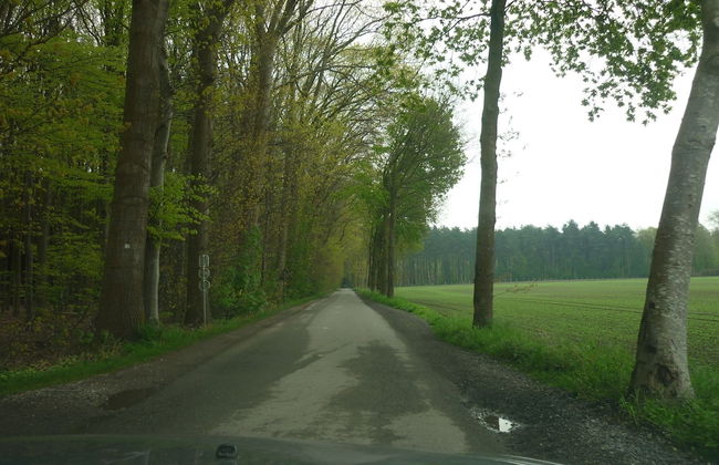 Quiet Cottage near Woods - Photo 39