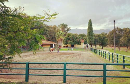 Casa da Vinha - Foto 37