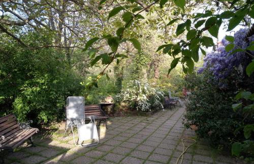 Cirasellaetna - Foto 25