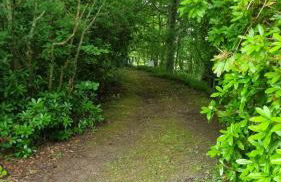 Lady Farm - Bargany - Foto 15