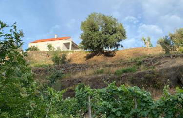 Casa da Ribeirinha - Foto 38