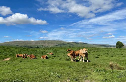 Heart Of Hawes Holiday Cottage - Foto 41