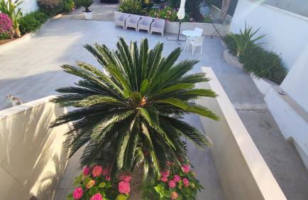 Seagull Apartments Bari Sea & Airport - Foto 8