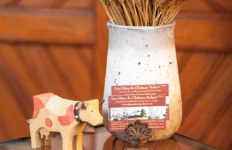 Château Robert - Foto 79