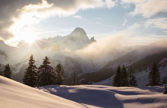 Amazing Apartment in Schrocken - Photo 23