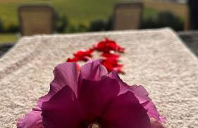 Domaine Léa Chanflaur - Spa - La maison du bonheur - Foto 23