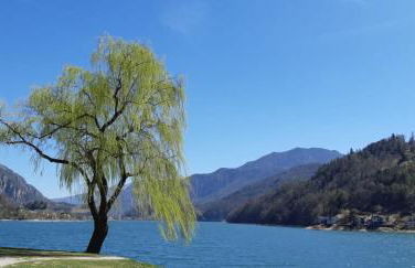 Casa Galet - Photo 62