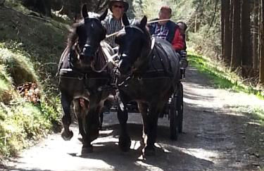 Ferienwohnung Ohmeis - Photo 6