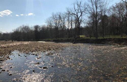 Caddo Cabin on Collier Creek - Foto 51