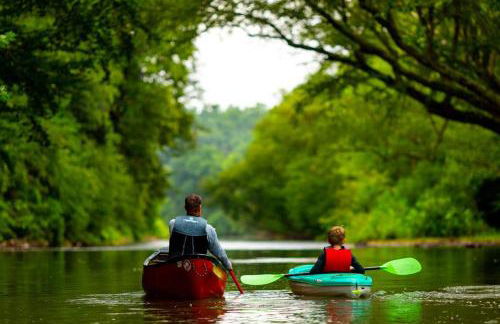 Mountain View Bungalow Near Breweries, Trails, Pool and Waterfalls - Foto 29
