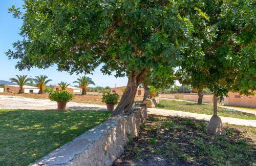 Finca Salom Verd - Foto 8