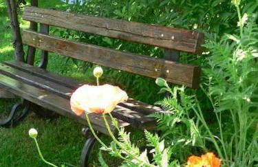 El Taller De La Seda - Foto 29