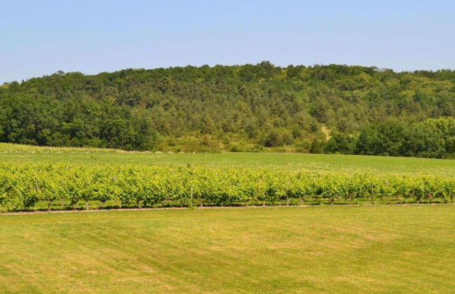 Luxury Apartment With Terrace, Sauna, Tennis, Pool - Foto 54