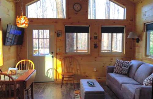 Breathtaking Tree House Rental near Charleston, West Virginia - Foto 2