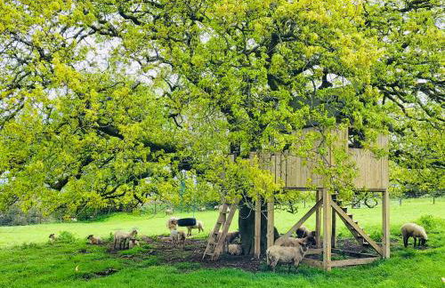 Barn End Cottage - Foto 17