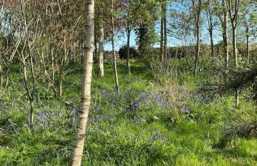 Large converted barn in peaceful, rural location - Foto 21