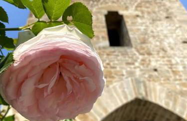 Casa Loretta - bright and spacious in Vicopisano - Foto 33