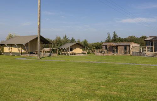 The Pig Arc - Foto 67