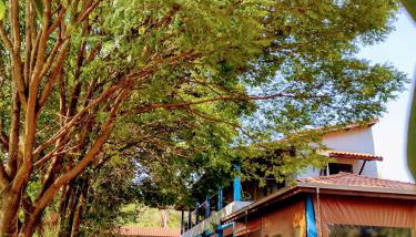 Suits - Canto do sabia - Foto 2, Garden view