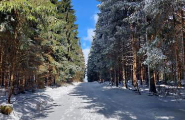 Das Waldhaus - Foto 29