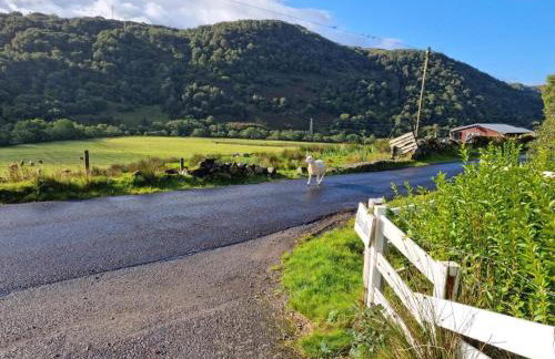 The Annex in Glenelg - Photo 14