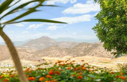 Fallbrook Vineyard Estate - Foto 46