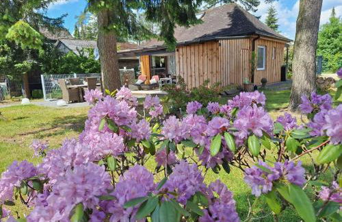 Ferienhaus Max mit Sauna - Photo 6