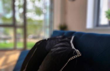 Free Parking Large Balcony Central Location - Foto 18