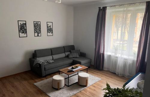Apartament Paprotka - Foto 7