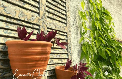 Encanto Chalés – 150m da Praia Grande – Penha – SC - Foto 7