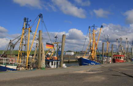 FeWo de Lark - Foto 11