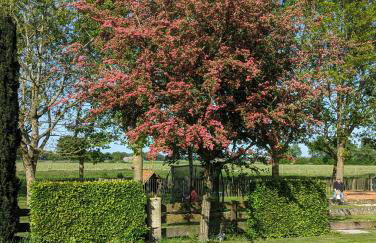 Natures-Rest Wielen "Mendhoo" - Foto 25