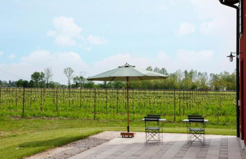 Agriturismo La Rosarnetta - Foto 7