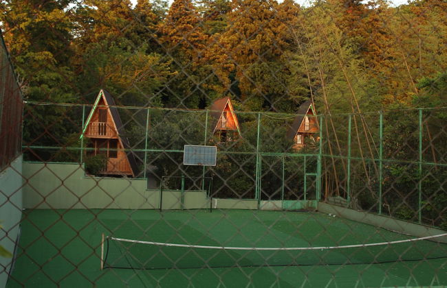 Kvirike Gardens - Foto 19