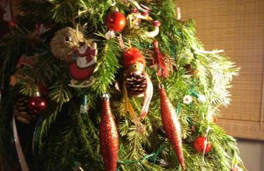 Chalet Επισκοπικό Ιωάννινα Ξύλινο σπίτι σε κτήμα - Foto 14