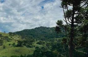 Winter Valley Cabins - Foto 7