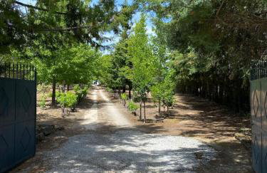 Casa do Campo - Castelo Branco - Foto 10