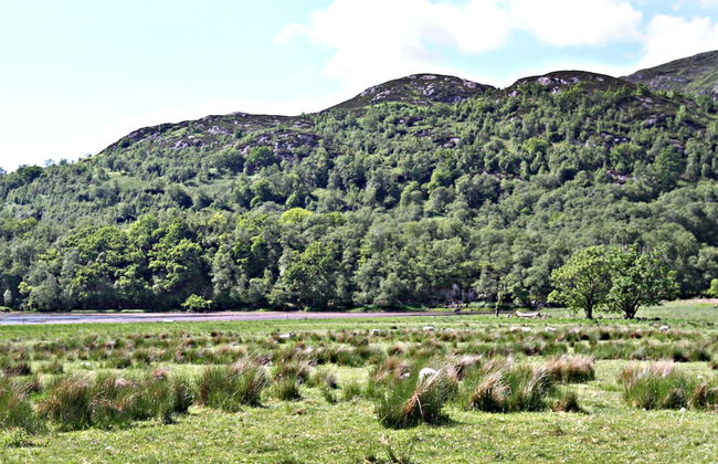 Stob Binnein Cottage - Foto 26