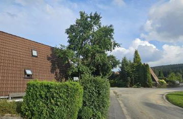 A-Frame am Ochsenkopf - Foto 8