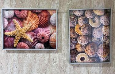 Campezo Suite Madrid Airport - Photo 23