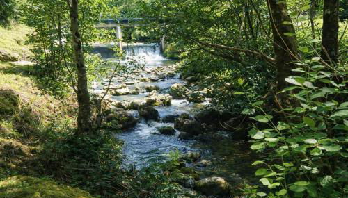 casa yanu Casa rural histórica en Parque Natural de Ponga - Foto 4