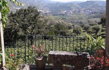 Quinta Casa Do Quintal - Foto 9