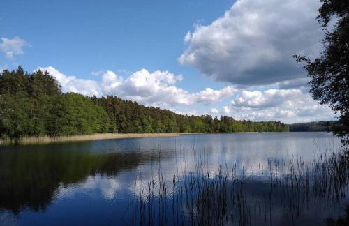 Dom Wakacyjny - Zakątek Marzenie - Foto 55