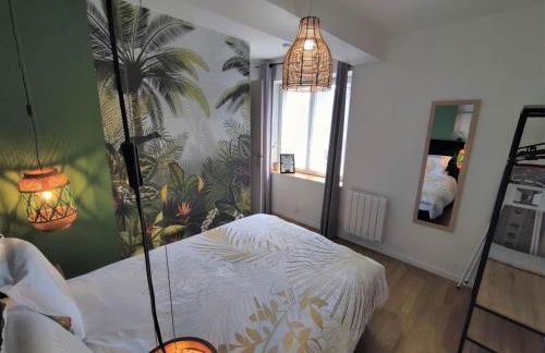 Appartement T2 "JUNGLE" Centre Ville de VITRÉ au calme coté cour - Foto 7