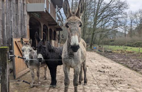 Gîte mon chez moi - Foto 1