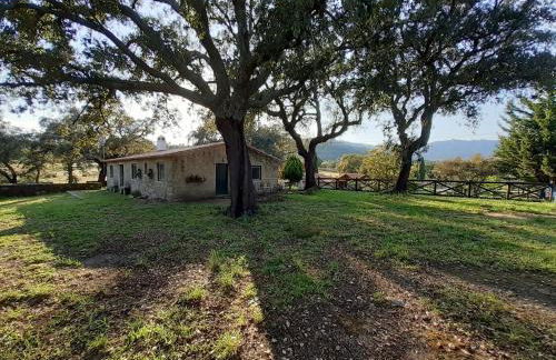 Casa da Vinha - Foto 8