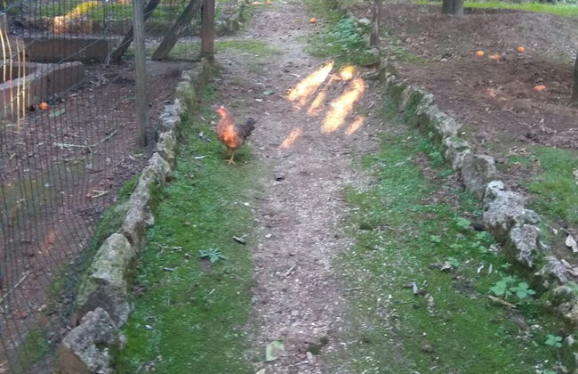 Casa dos Arrábidos - Foto 74