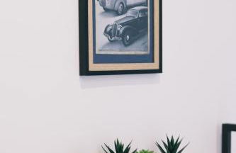 Black Cognac - Foto 24