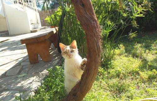 Art Flowers and Culture - Foto 21