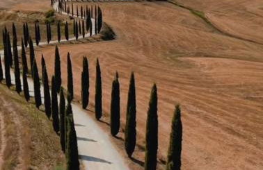 Agriturismo Baccoleno - Foto 26